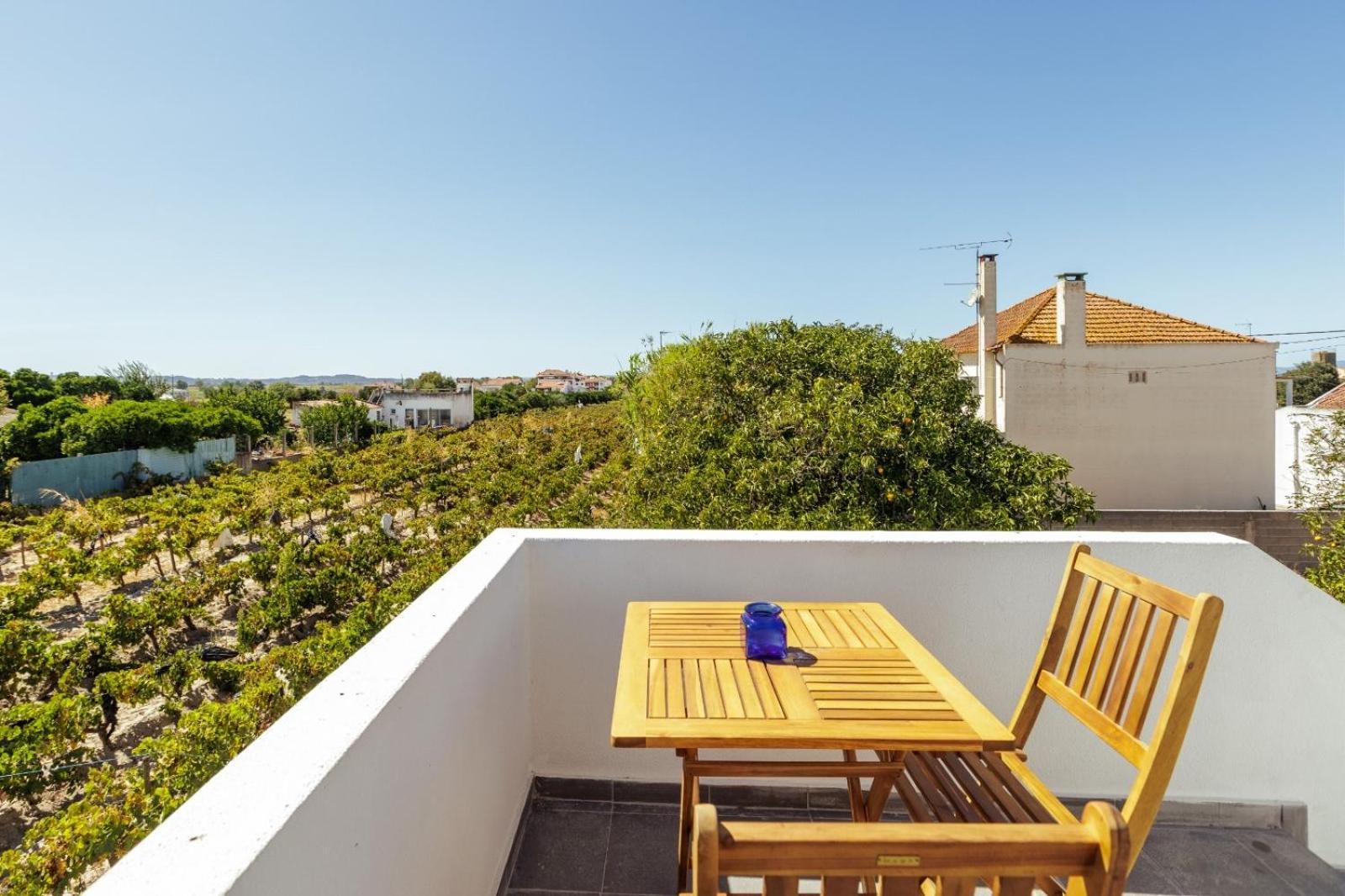 Pinheirinha Guest House Alpiarça Екстериор снимка
